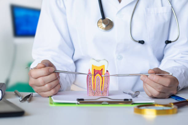 Best Emergency Dental Care for Abscessed Tooth in Eielson Af, AK